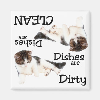 Magnet de lave-vaisselle de chat