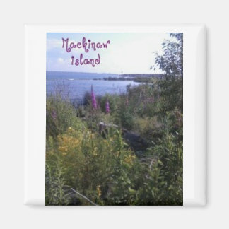 Magnet de l'île Mackinaw