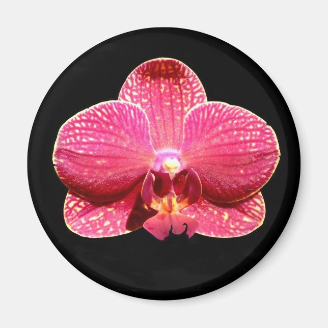 Magnet de l'orchidée (Devant)