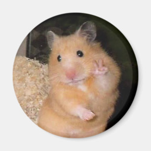 Magnet de mème de hameçon de paix