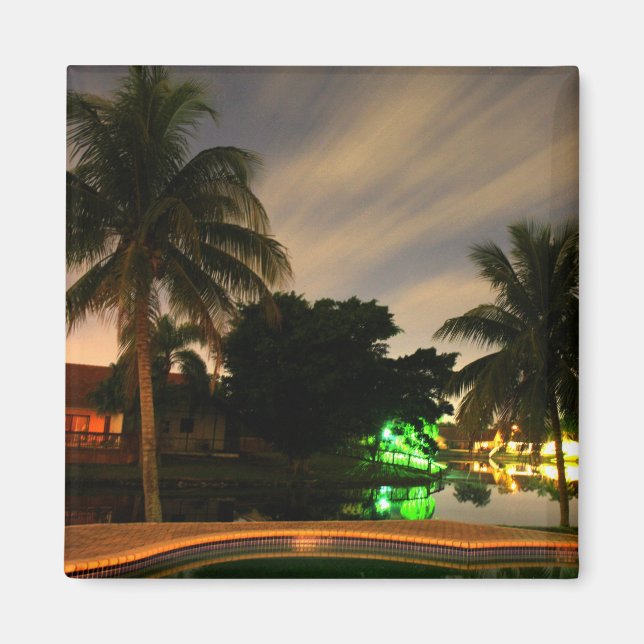 Magnet de palme (Devant)