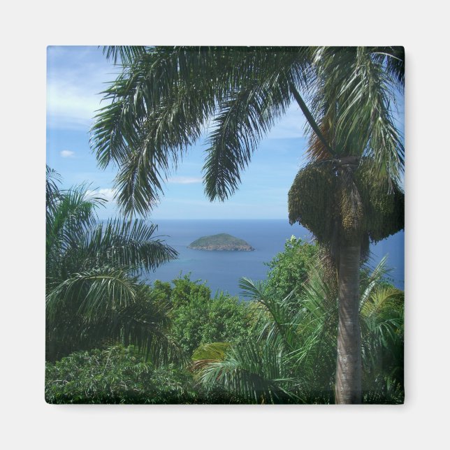 Magnet de palme (Devant)