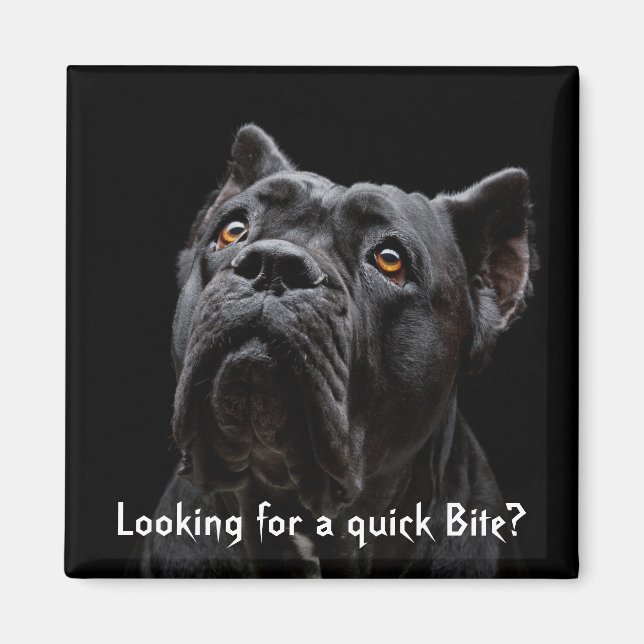 Magnet de pêches (Devant)