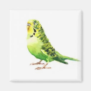 Magnet de perruques vertes