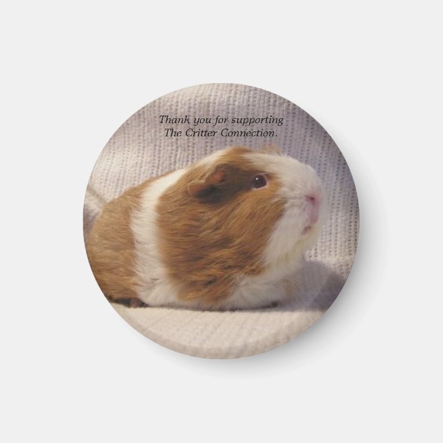 Magnet de porc de Guinée #5 (Devant)