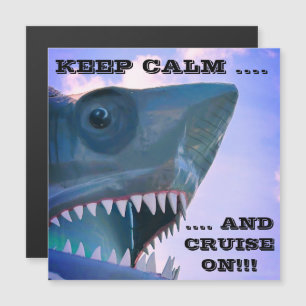 MAGNET DE PORTE DE CROISIÈRE À REQUINS