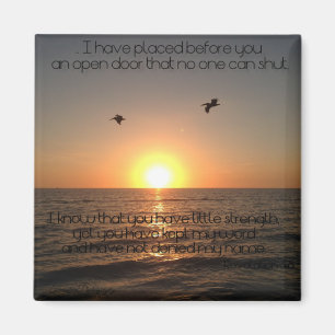 Magnet de portes ouvertes