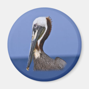 Magnet de portrait de Pélican Brown