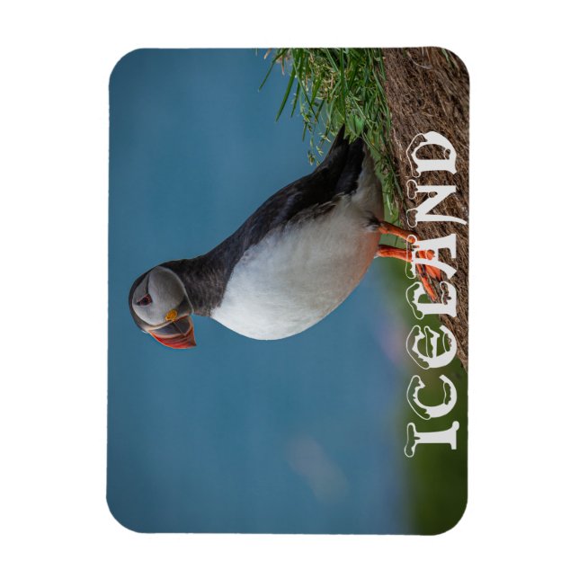 MAGNET DE PUFFIN ISLANDE (Vertical)