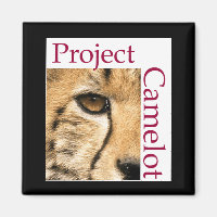 MAGNET DE RÉFLEXION DU CAMELOTE DU PROJET