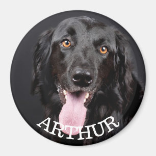 Magnet de réfrigération photo de chien personnal