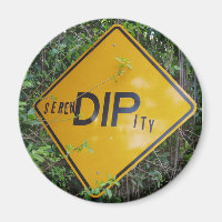 Magnet de séréndipité