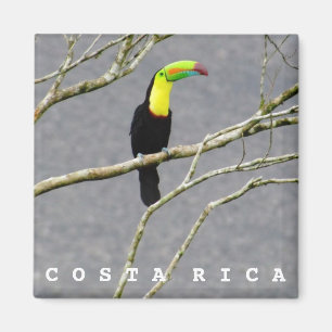 Magnet de souvenirs touristiques du Costa Rica