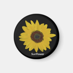 Magnet de tournesol