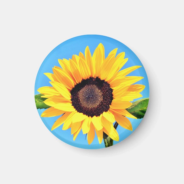 Magnet de tournesol jaune (Devant)