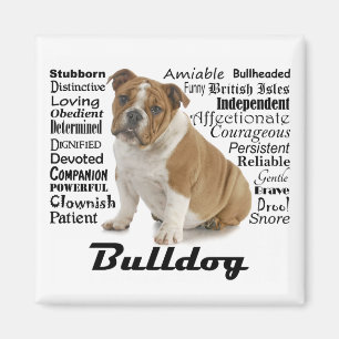 Magnet de traits de Bulldog