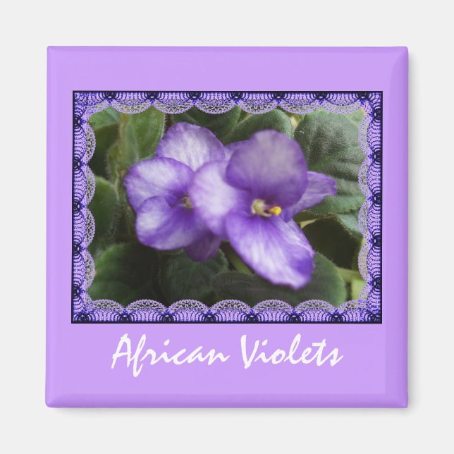 Magnet de violettes africaines (Devant)