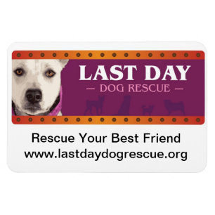 Magnet de voiture LDDR