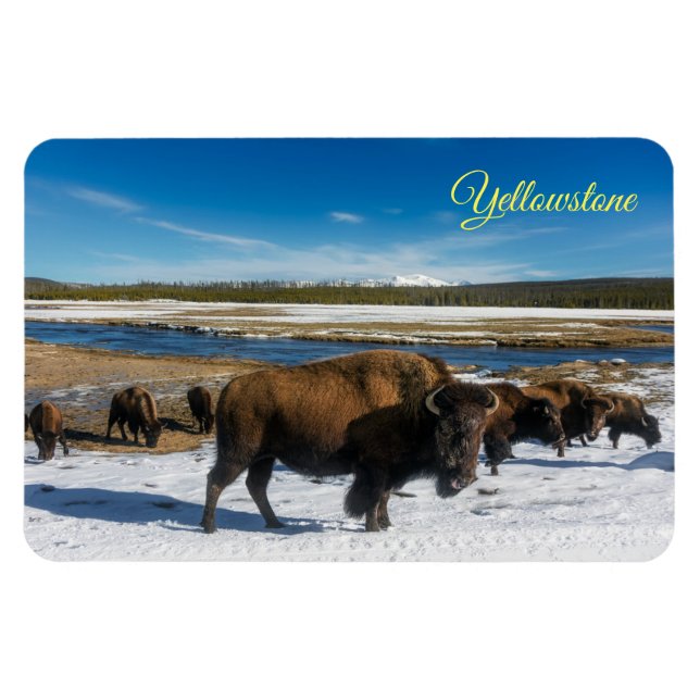 Magnet de Yellowstone (Horizontal)