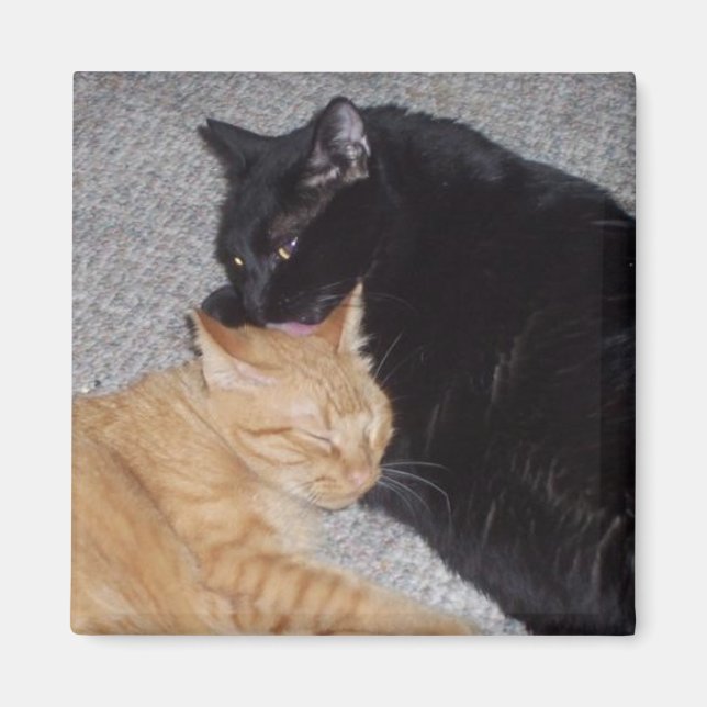 Magnet der besten Freunde (Vorne)