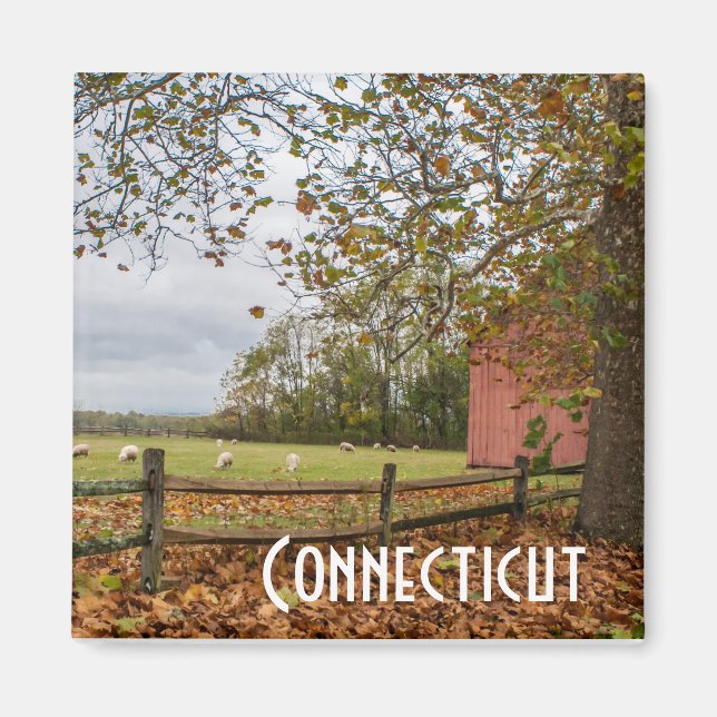 Magnet der Herbstfarm Connecticut (Vorne)