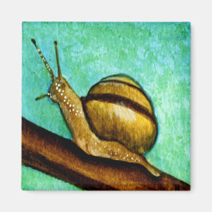 Magnet der Schnecke-1