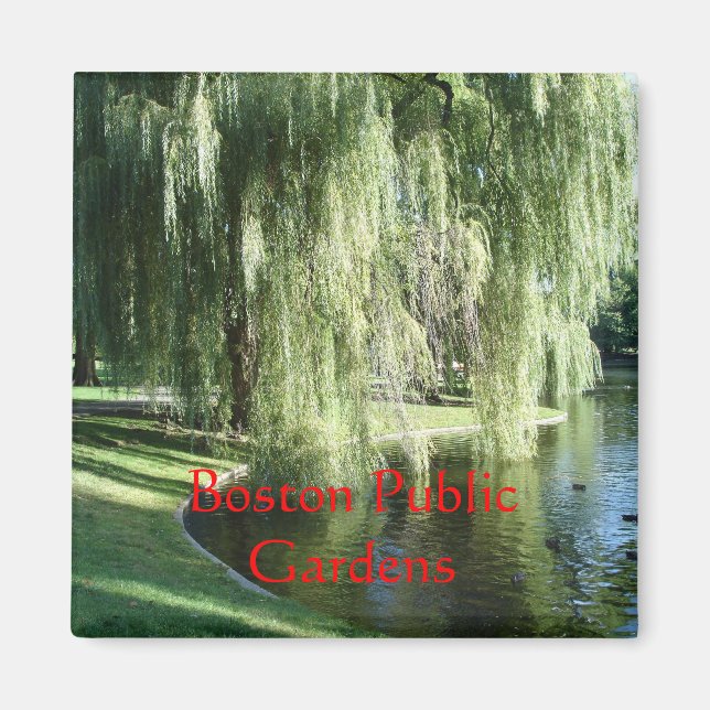 Magnet des Boston Public Garden (Vorne)