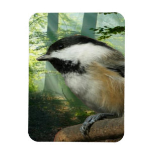 Magnet des Fotos 3x4