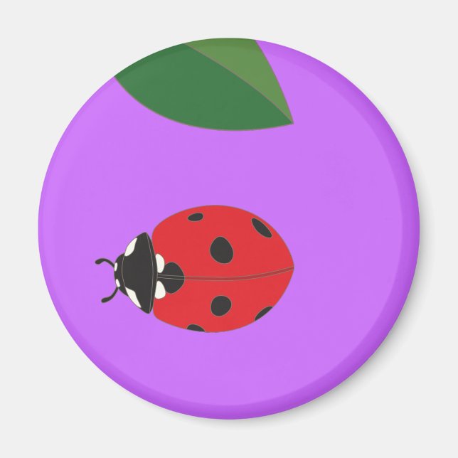 Magnet des Ladybirds (Devant)