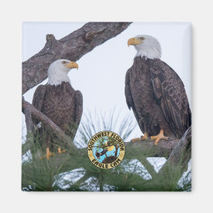 Magnet des objectifs de couple Harriet et M15