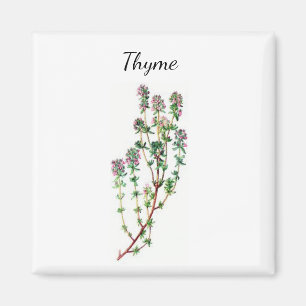 Magnet d'herbe de thym