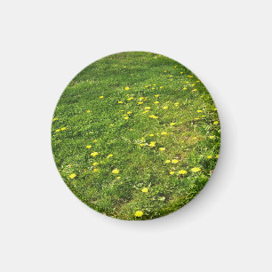 Magnet d'herbes et de poudres