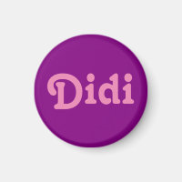 Magnet Didi