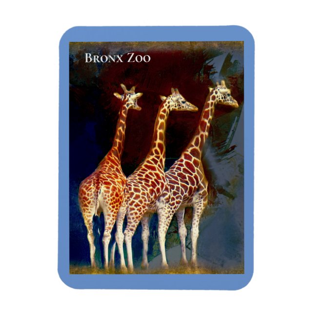Magnet - die Giraffen im Zoo von Bronx (Vertikal)