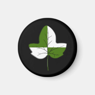 Magnet d'Ivyeinrust SCA