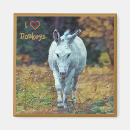 Magnet Donkey 01