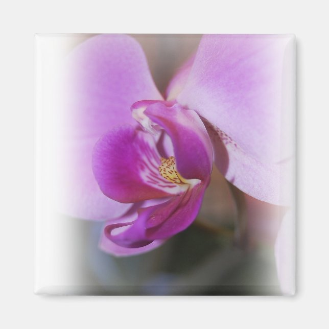 Magnet d'orchidée (Devant)