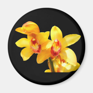Magnet d'orchidée jaune