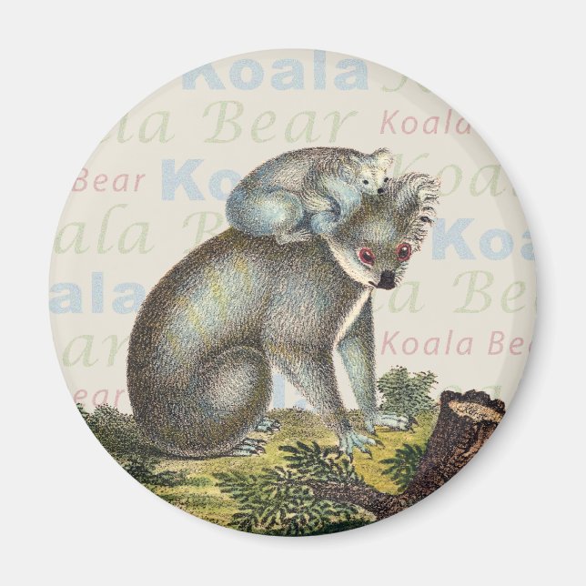 Magnet d'ours Koala (Devant)