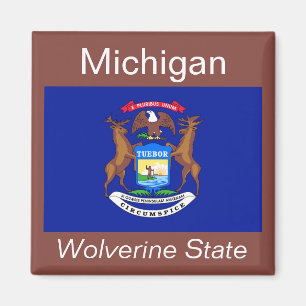 Magnet du drapeau du Michigan