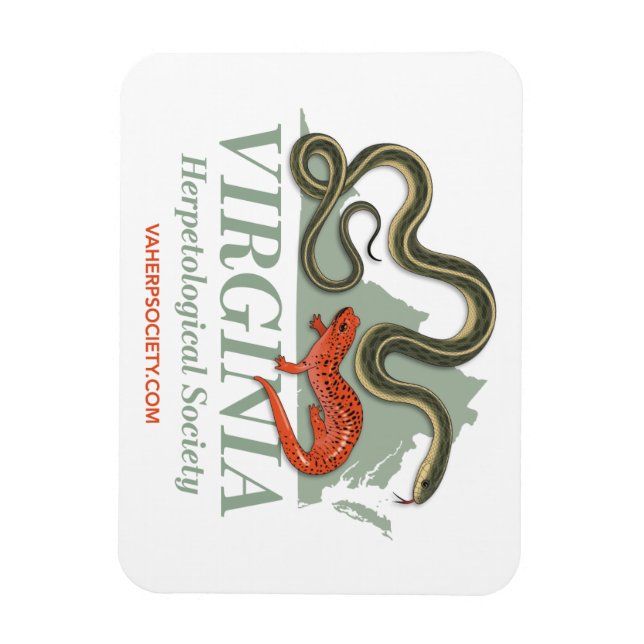 Magnet du logo VHS (Vertical)