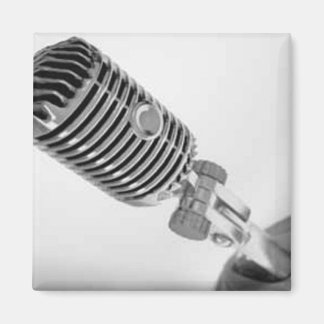 Magnet du microphone