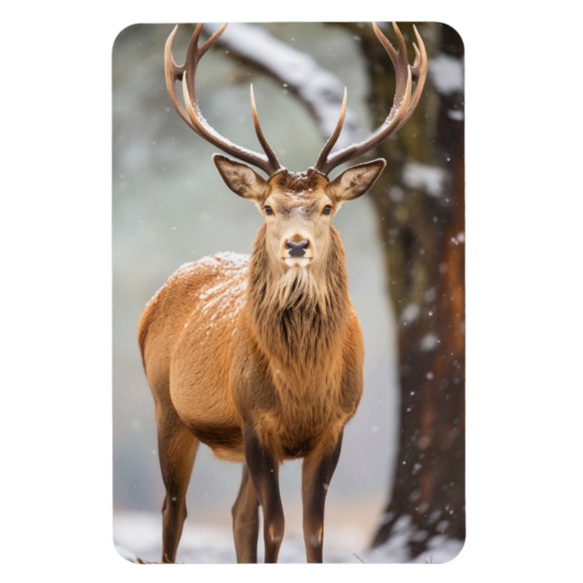 Magnet-Elk Magnet (Vertikal)