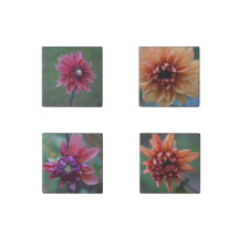 Dahlia Collection Magnets en pierre