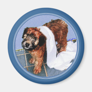 Magnet: "Er war nicht ich! " Magnet