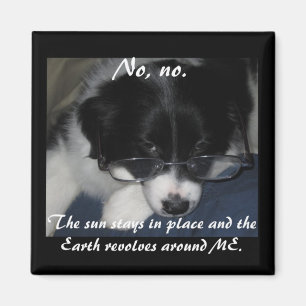 Magnet "Erde dreht sich um mich"