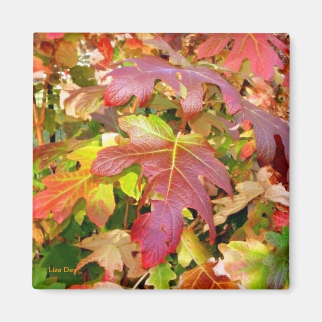 Magnet 'Feuilles d'automne' (Devant)