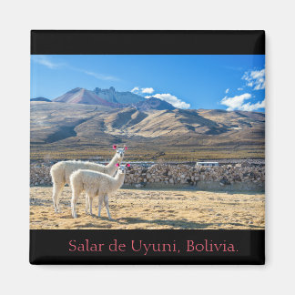 Magnet, Flammen, Bolivien von Uyuni Salzen, Magnet