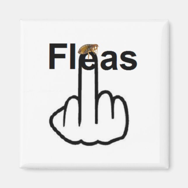 Magnet Fleas Dreh (Vorne)