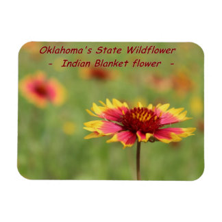 Magnet Fleur sauvage de l'État de l'Oklahoma
